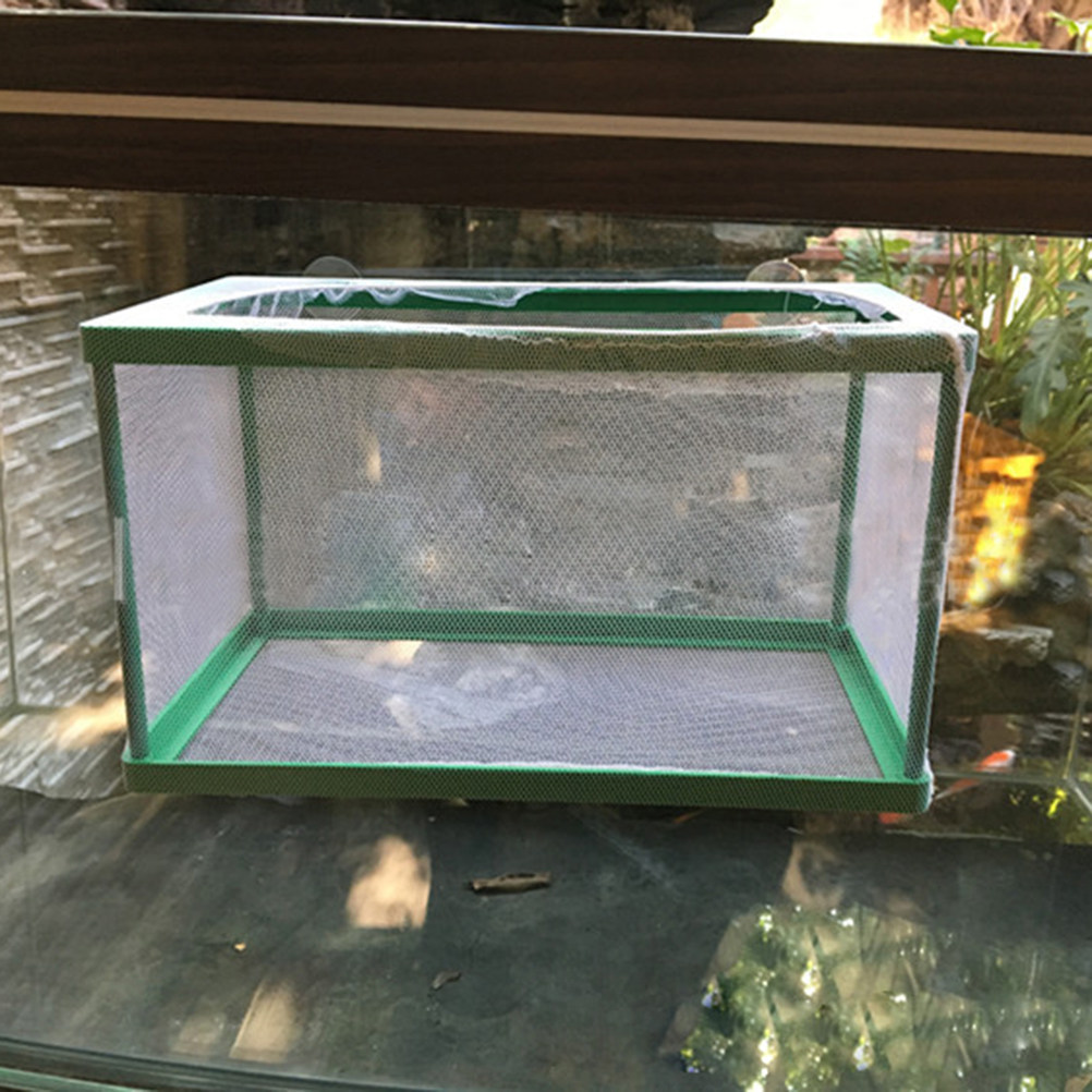 Aquarium Fish Rate - Изолирующий контейнер для разведения аквариумных рыбок,