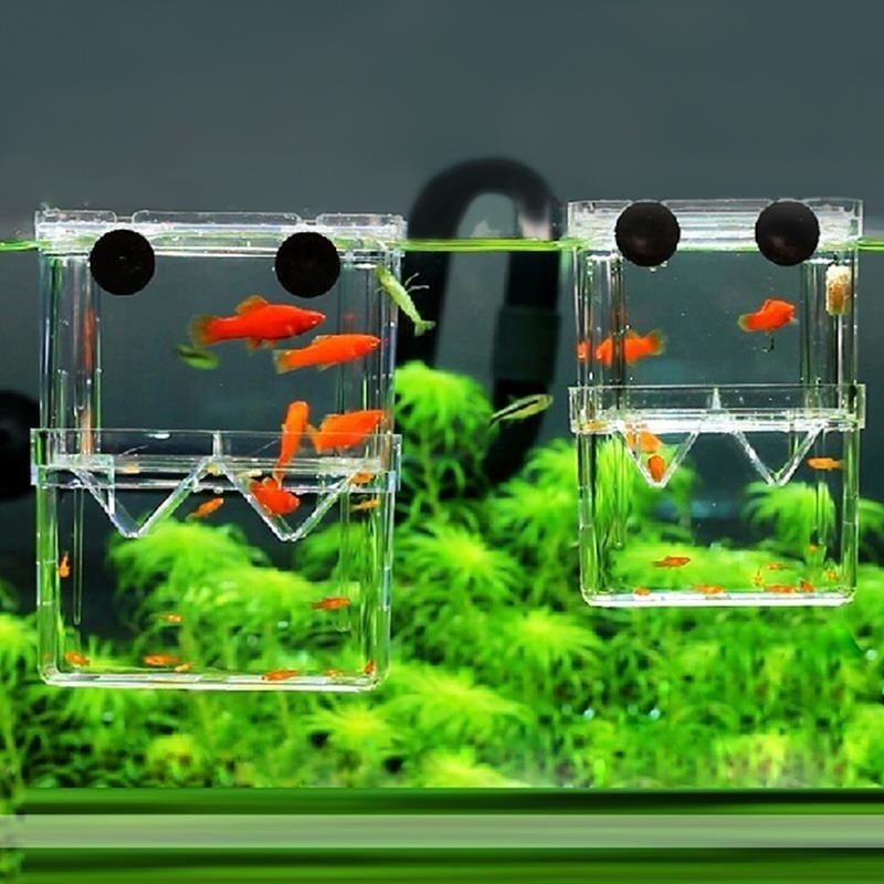 Aquarium Fish Jar - Многофункциональный аквариумный прозрачный изоляционный бокс для