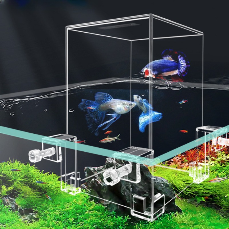 Aquarium Fish Jar - Творческие аквариумные резервуары с отрицательным давлением,