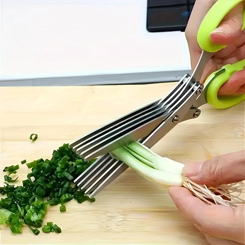 Кухонные ножницы из нержавеюще – обзор и цена Algae Scraper Blade