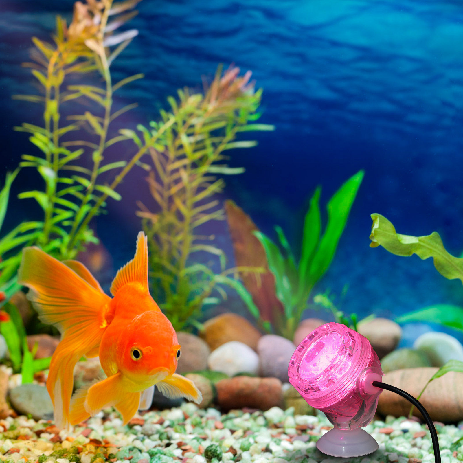 Маленький светодиодный светиль – обзор и цена Aquarium Fish Rainbow