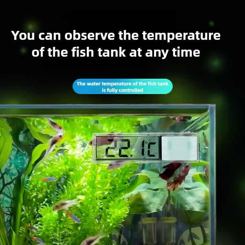 Цифровой электронный 3D-термом – обзор и цена Aquarium Fish Goldfish