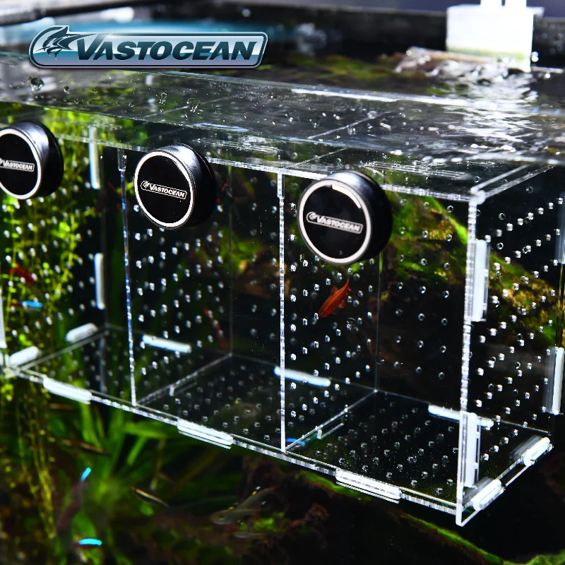 VASTOCEAN аквариум магнитный к – обзор и цена Aquarium Fish Jar