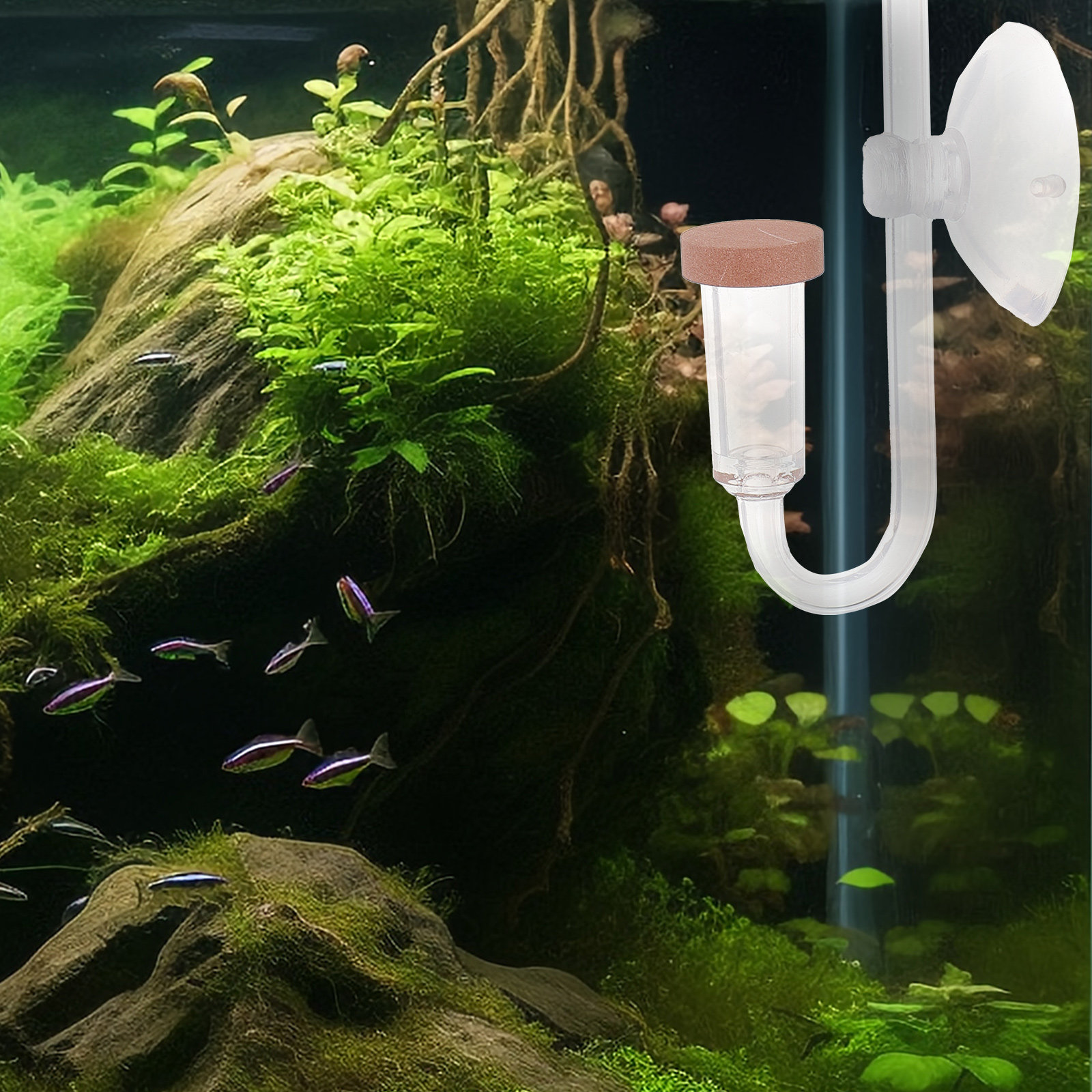 Диффузор CO2 для аквариума из  – обзор и цена Aquarium Fish Rate