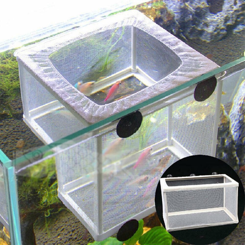 Коробка для разведения аквариу – обзор и цена Aquarium Fish Jar