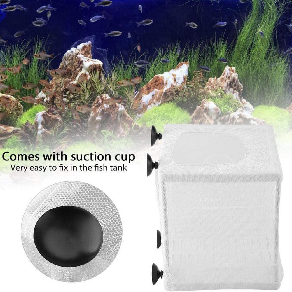 Коробка для разведения аквариу – обзор и цена Aquarium Fish Jar