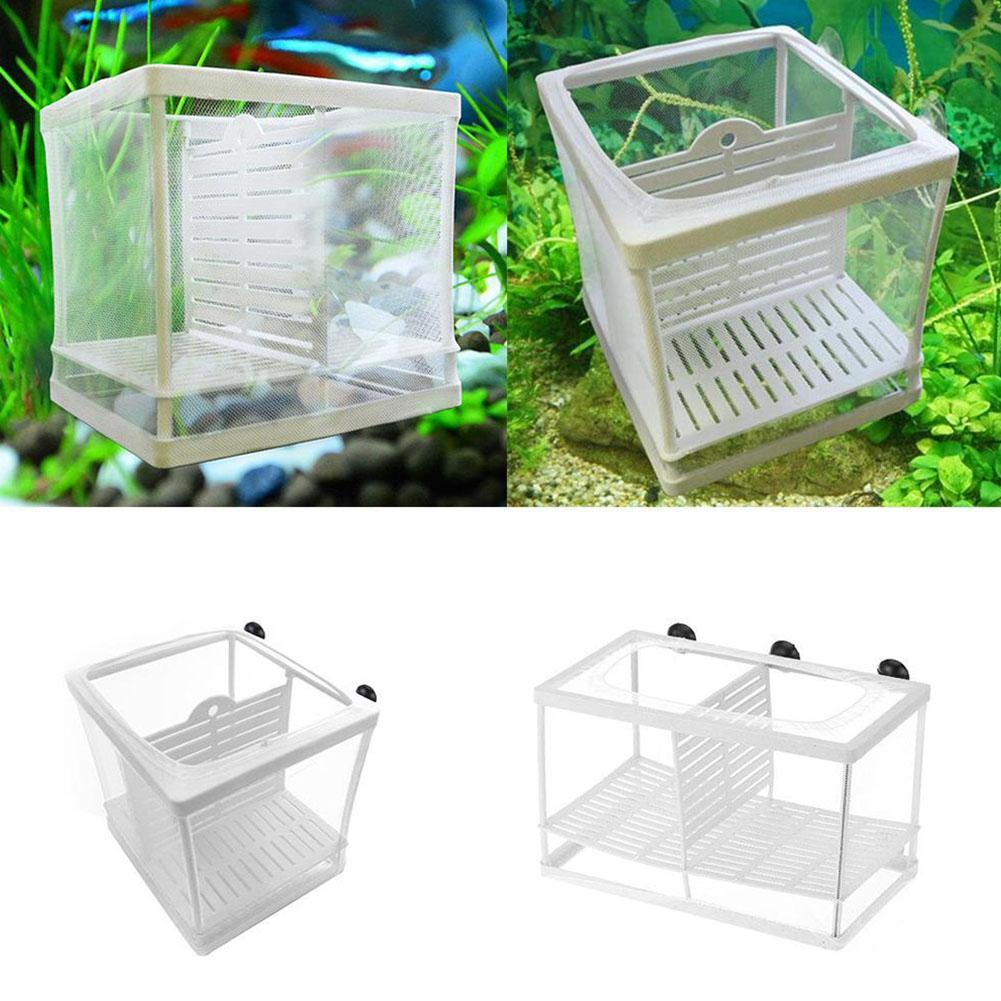 Коробка для разведения аквариу – обзор и цена Aquarium Fish Jar