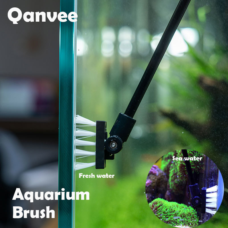 Щетка для чистки рыбалки, резе – обзор и цена Algae Scraper Blade
