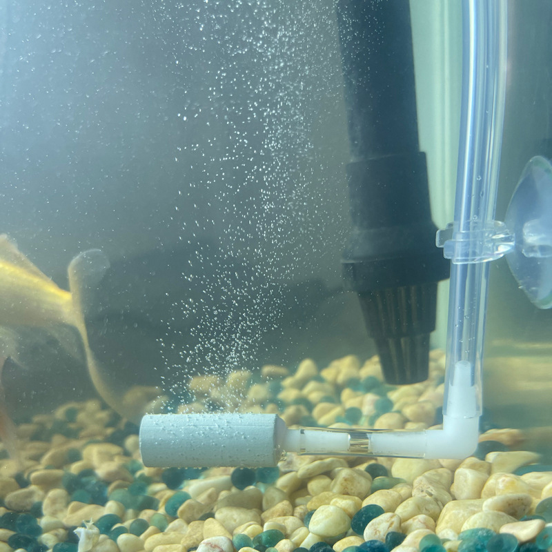 Регулятор системы CO2 с отличн – обзор и цена Aquarium Fish Rate