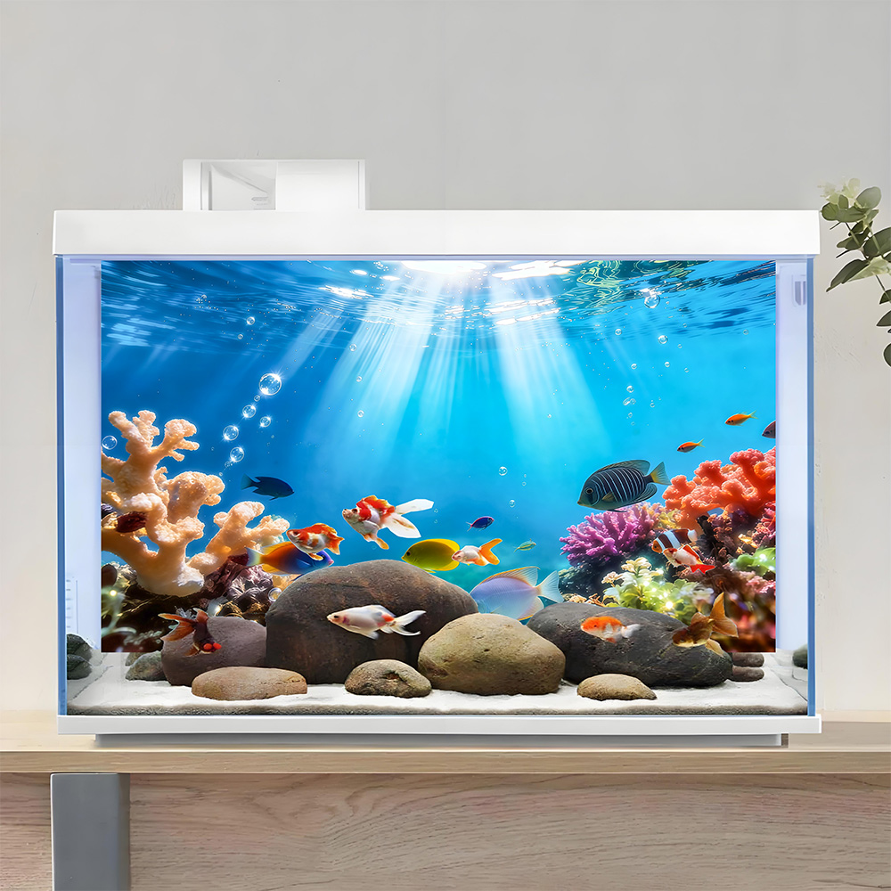 Разноцветные кораллы, фоновая  – обзор и цена Aquarium Fish Rainbow