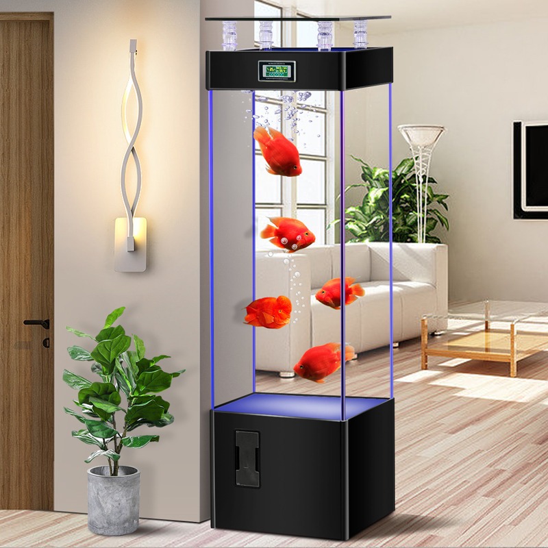 Аквариум из ультрапрозрачного  – обзор и цена Aquarium Fish Goldfish