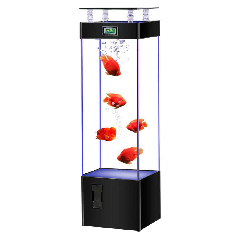 Аквариум из ультрапрозрачного  – обзор и цена Aquarium Fish Goldfish