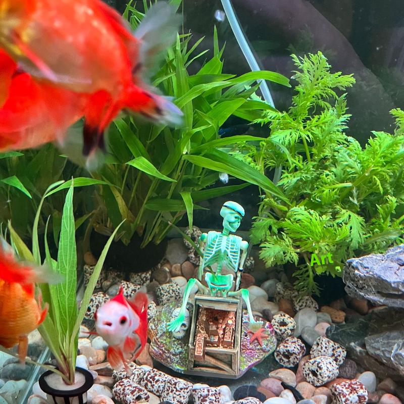 Аквариум, аэробный пейзаж, пуз – обзор и цена Aquarium Fish Only