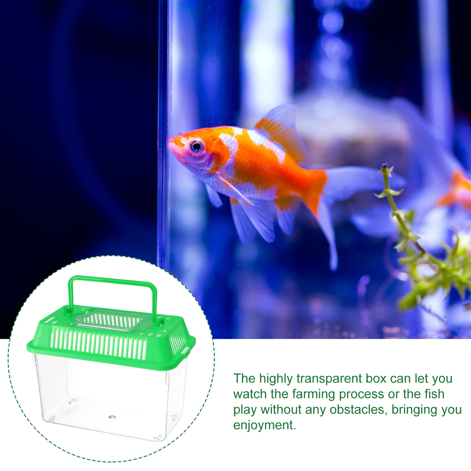 Пластиковый портативный мини-а – обзор и цена Aquarium Fish Goldfish