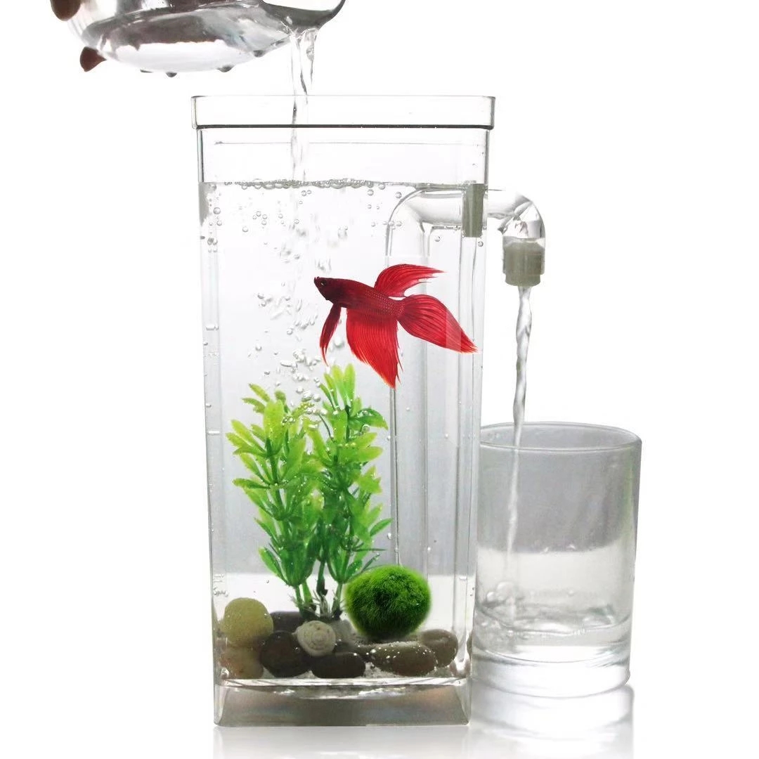 Ленивая бесплатная смена воды, – обзор и цена Aquarium Fish Goldfish