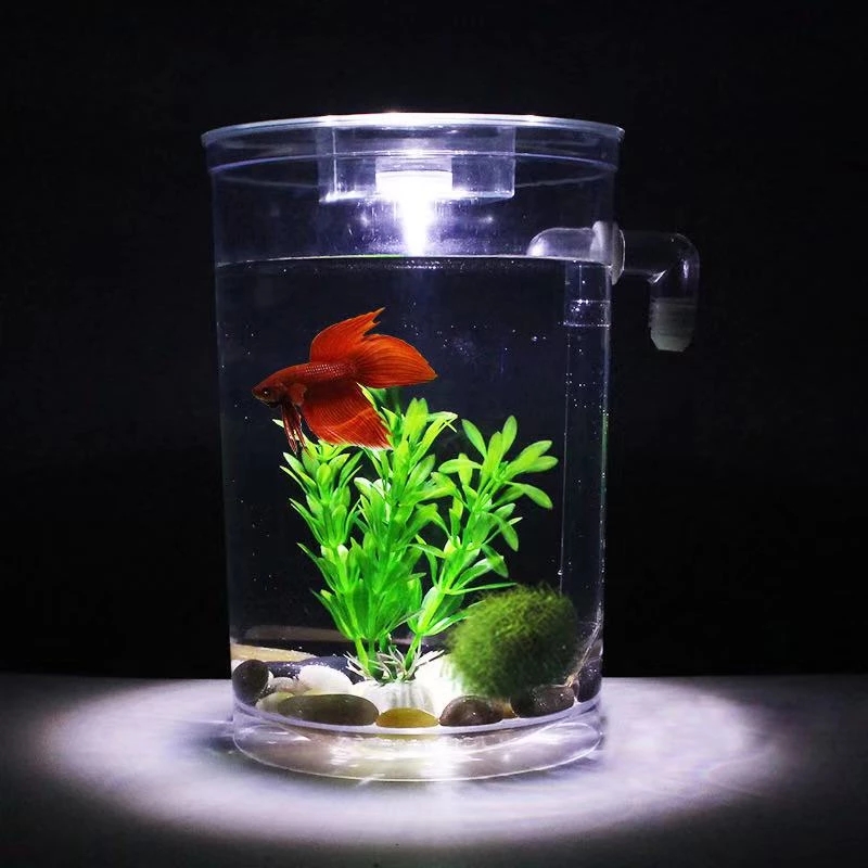 Ленивая бесплатная смена воды, – обзор и цена Aquarium Fish Goldfish