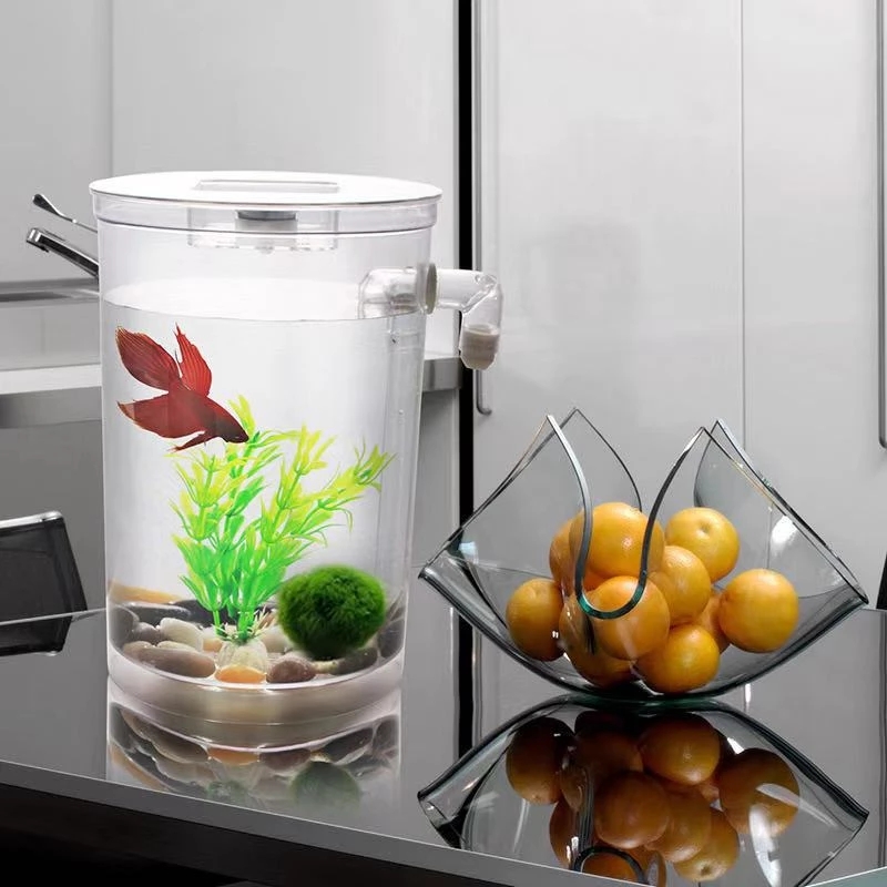 Ленивая бесплатная смена воды, – обзор и цена Aquarium Fish Goldfish