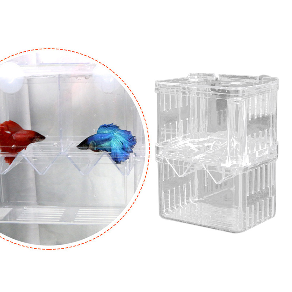 Прозрачный бокс для разведения – обзор и цена Aquarium Fish Rate
