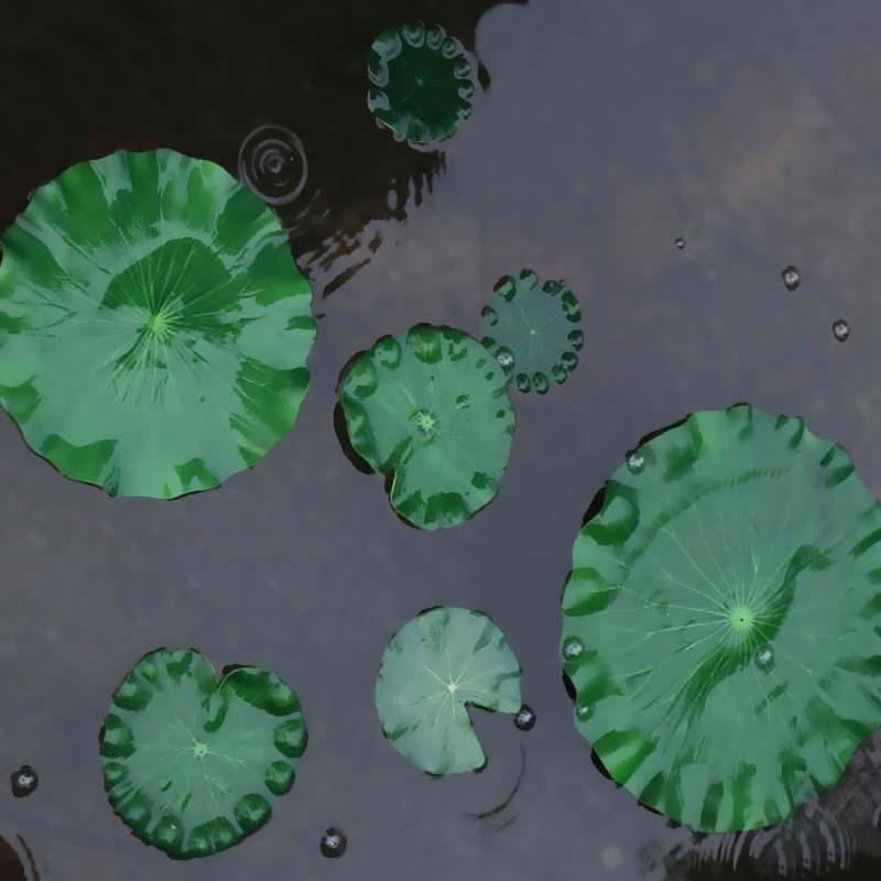 Искусственные листья лотоса 20 – обзор и цена Aquarium Fish In Pond