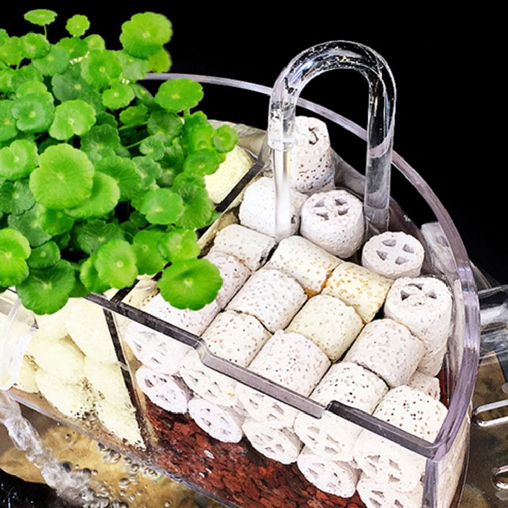 Внешний фильтр-бокс 3-в-1 подв – обзор и цена Aquarium Fish Jar