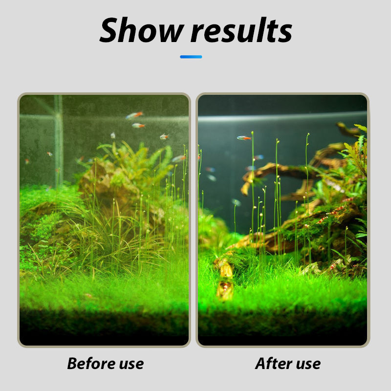 Щетки для чистки стекол для ак – обзор и цена Algae Scraper Blade