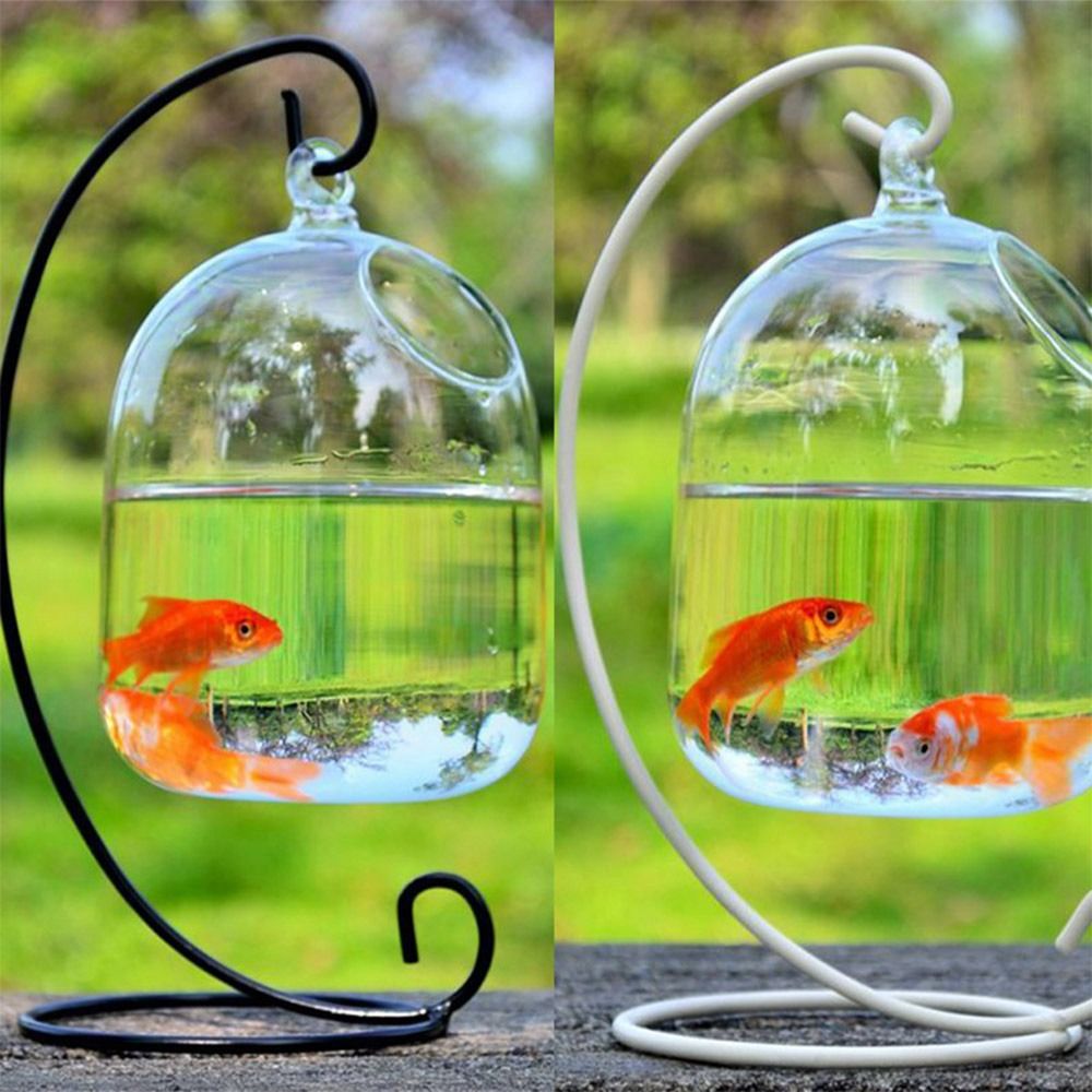 Настенный декор для аквариума  – обзор и цена Aquarium Fish Jar