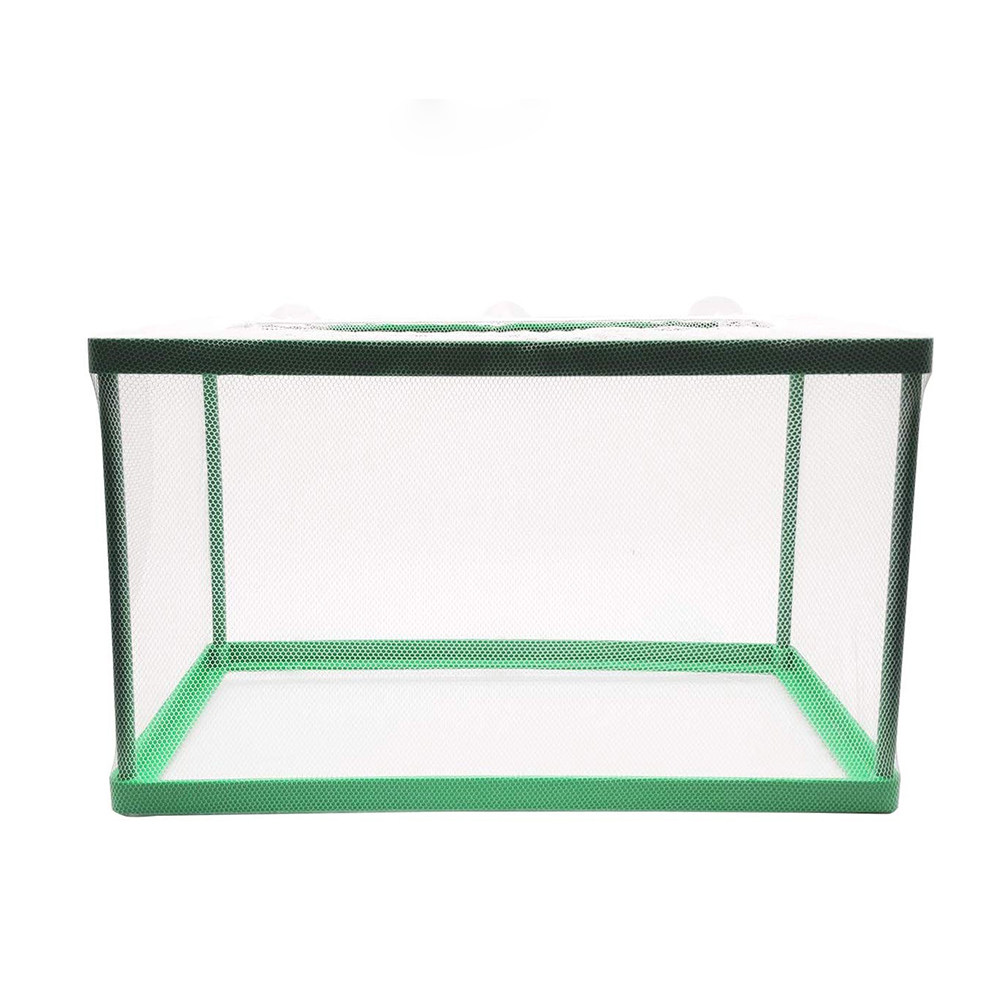 Изолирующий контейнер для разв – обзор и цена Aquarium Fish Rate