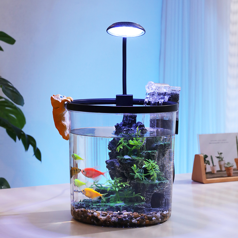 Компактная круглая чаша для зо – обзор и цена Aquarium Fish Goldfish