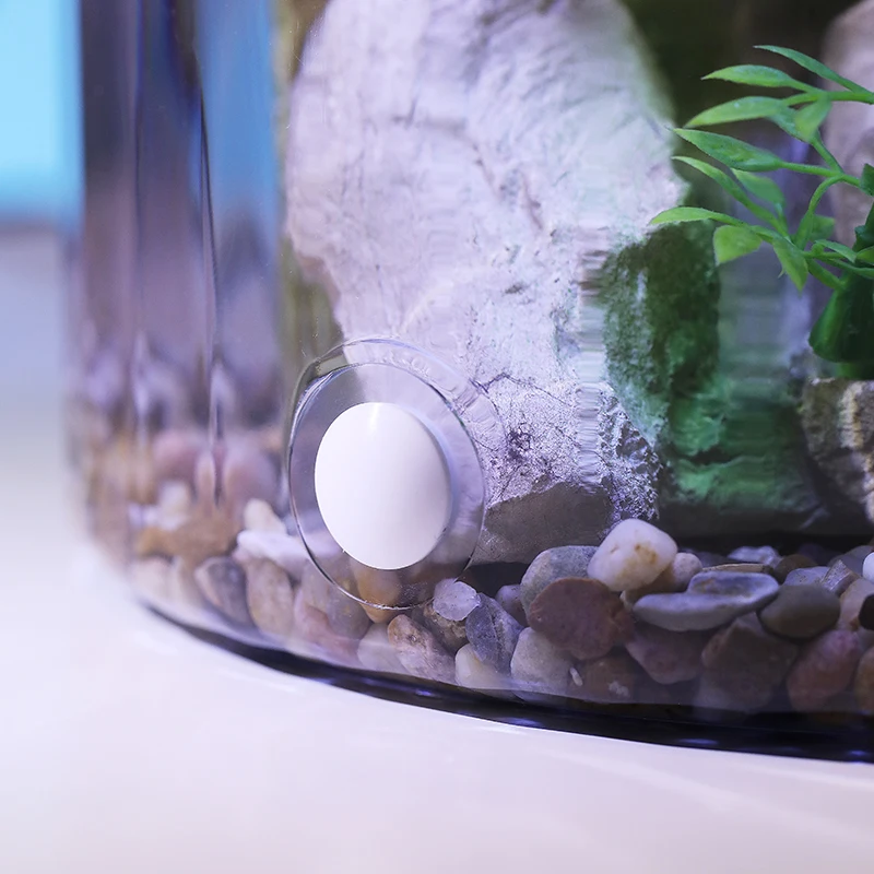 Компактная круглая чаша для зо – обзор и цена Aquarium Fish Goldfish
