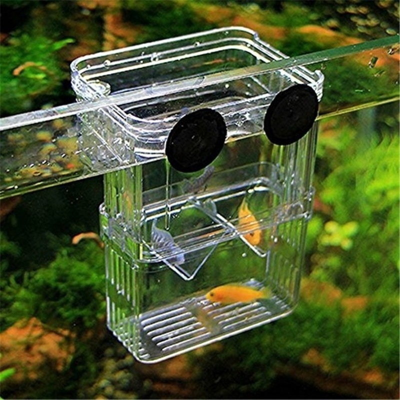 Многофункциональный аквариумны – обзор и цена Aquarium Fish Jar