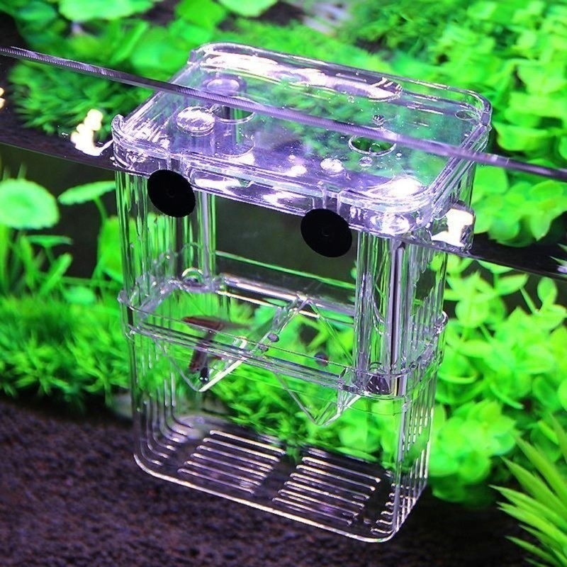 Многофункциональный аквариумны – обзор и цена Aquarium Fish Jar