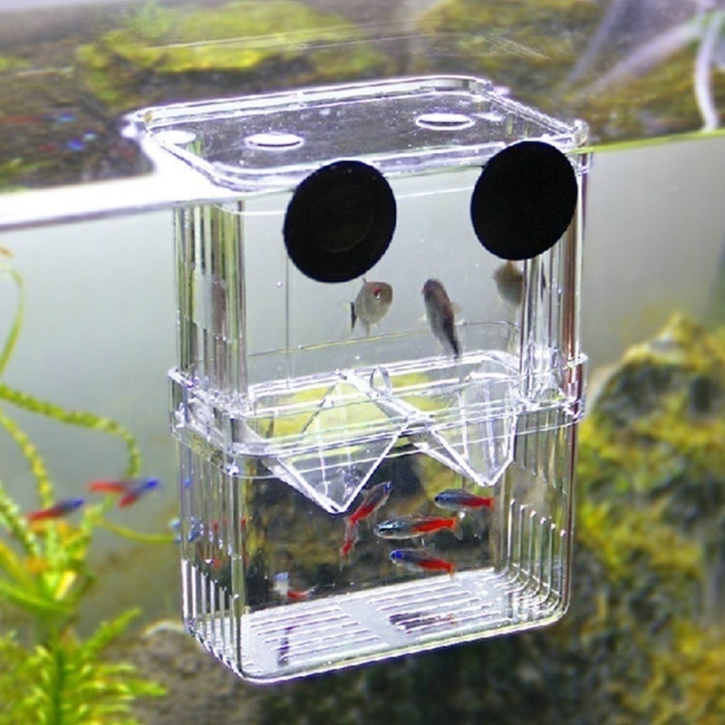 Многофункциональный аквариумны – обзор и цена Aquarium Fish Jar