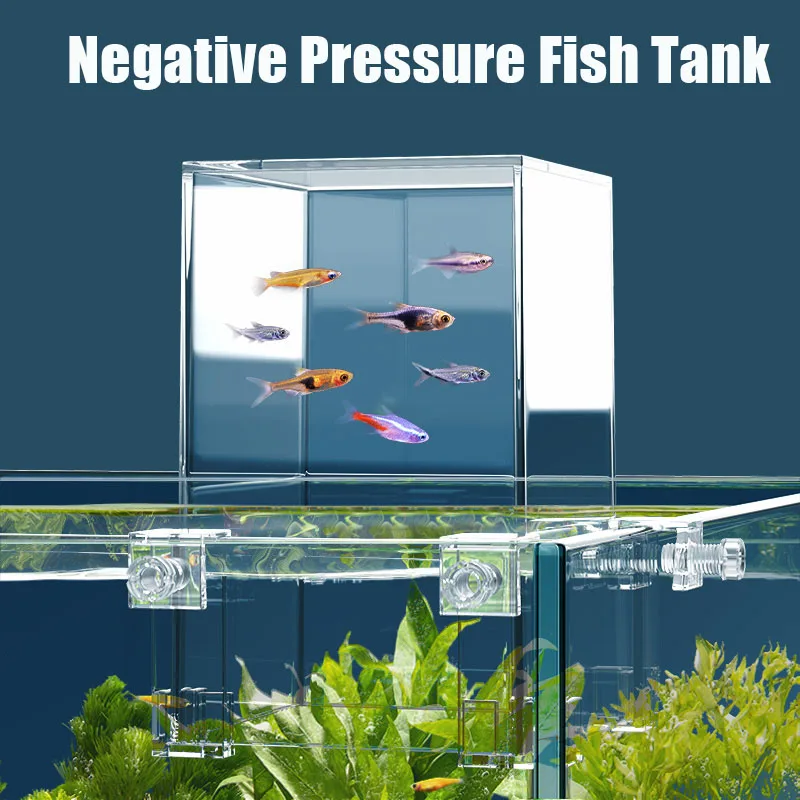 Творческие аквариумные резерву – обзор и цена Aquarium Fish Jar