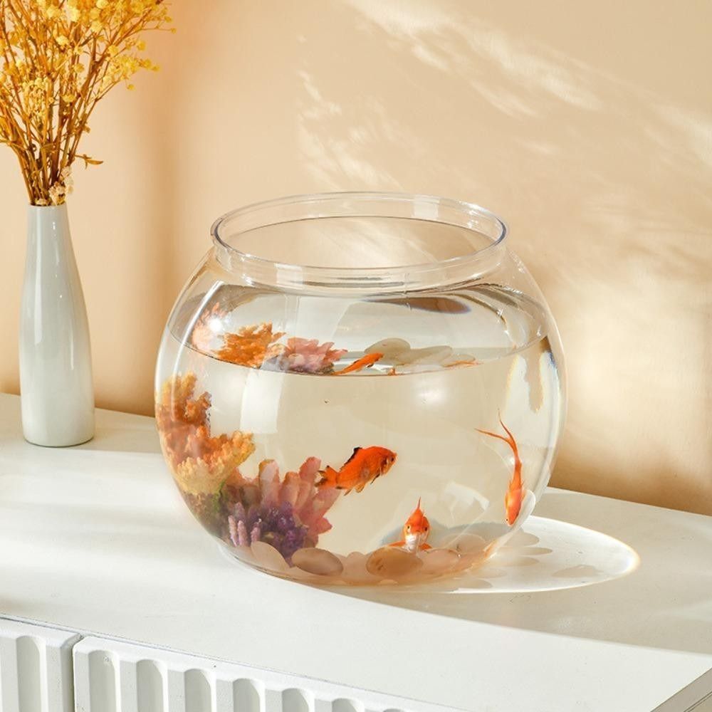 Портативный прозрачный аквариу – обзор и цена Aquarium Fish Goldfish