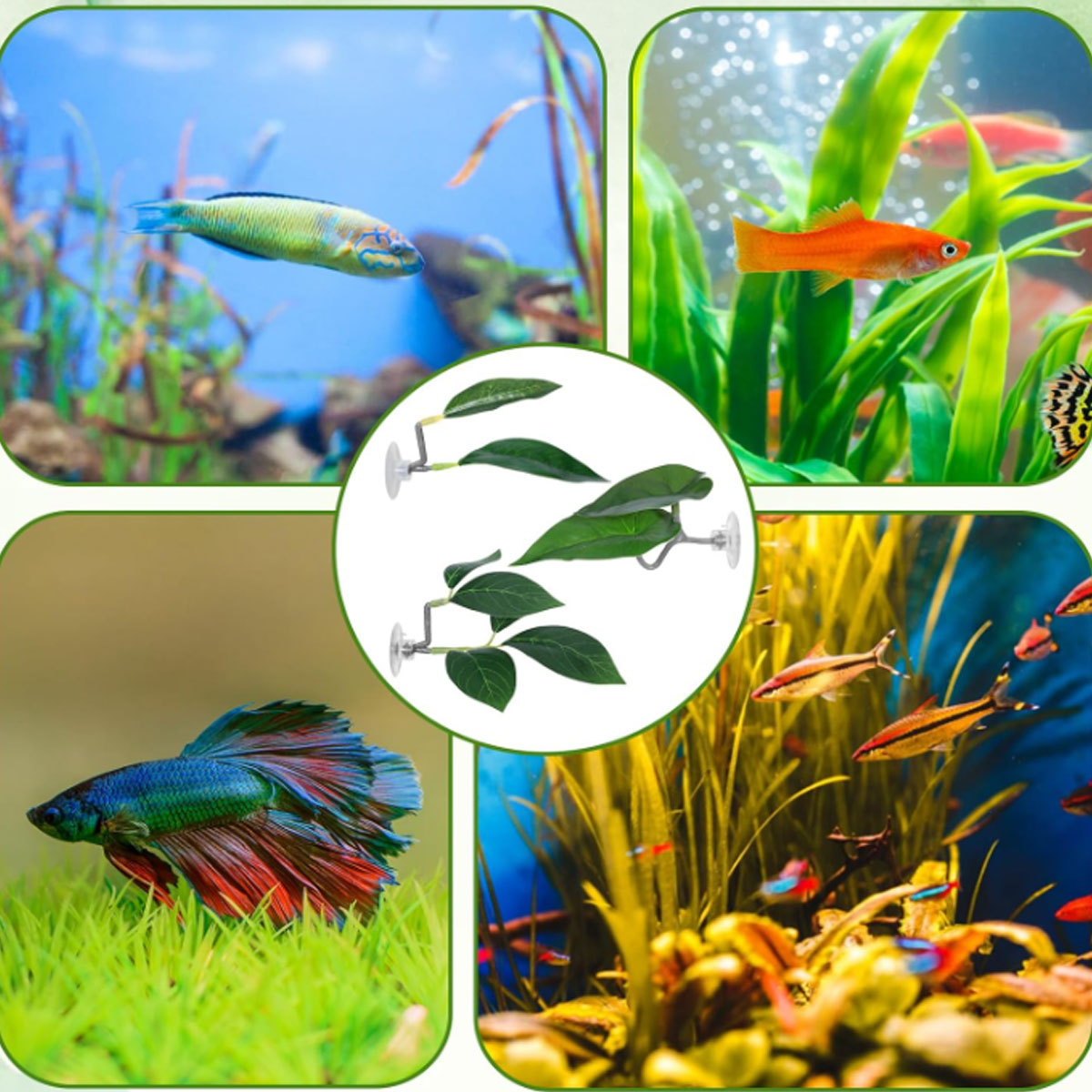 1 шт. Гамак для рыбок Бетта, м – обзор и цена Aquarium Fish Only