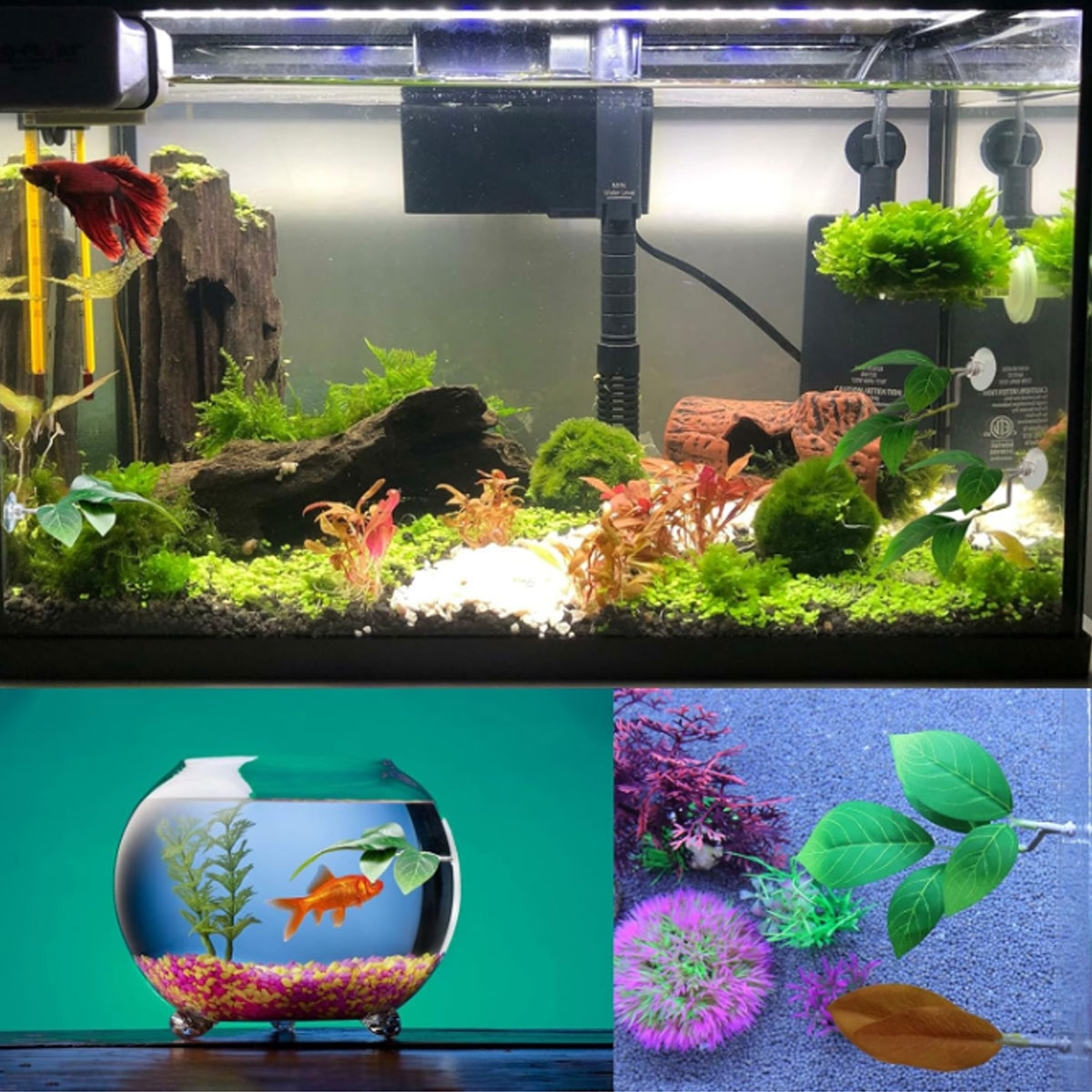 1 шт. Гамак для рыбок Бетта, м – обзор и цена Aquarium Fish Only