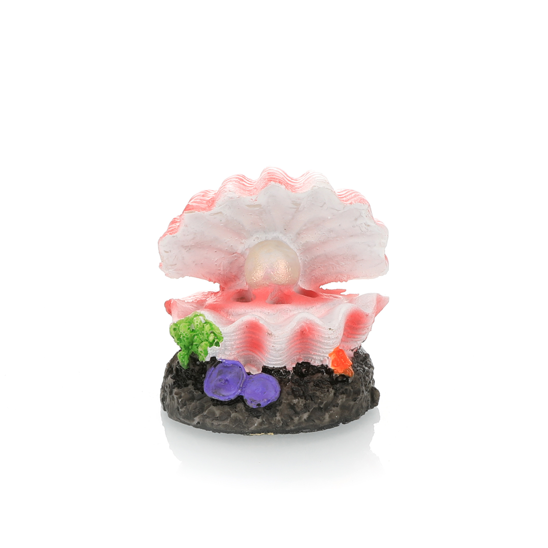 Моделирование ландшафтного диз – обзор и цена Aquarium Fish Tank Price