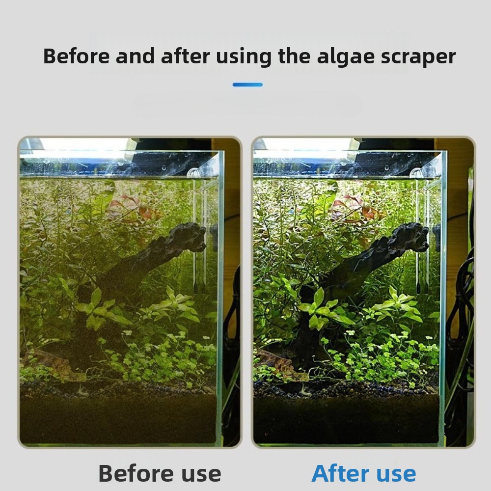 Многофункциональный скребок дл – обзор и цена Algae Scraper Blade