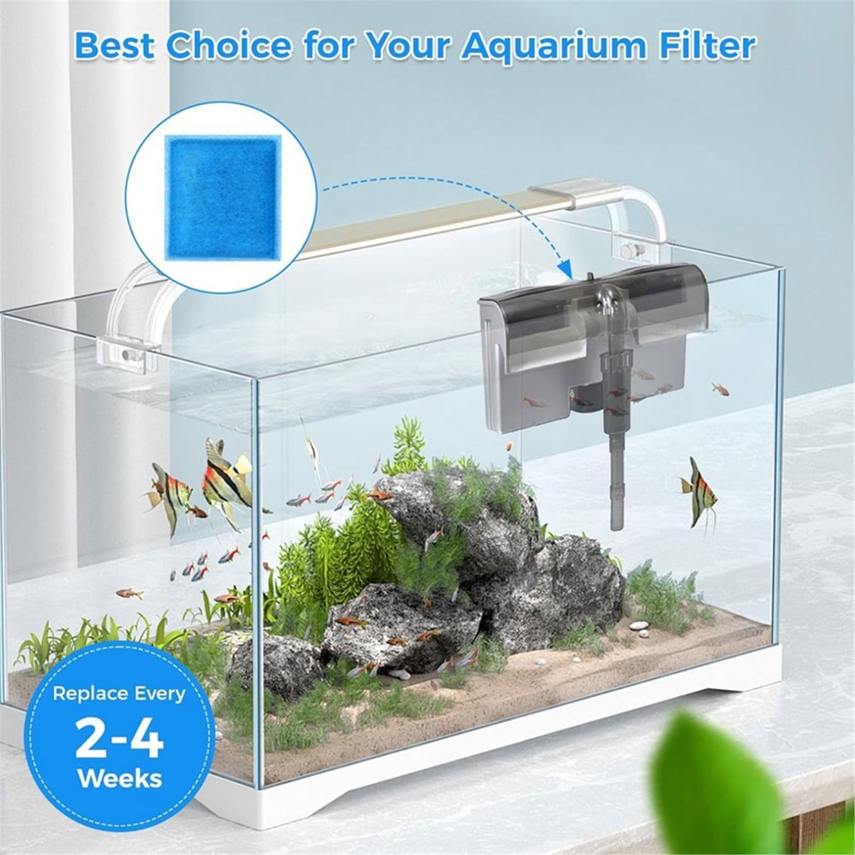 《ТОП-РЕЙТИНГ》10 шт. сменных ка – обзор и цена Aquarium Fish Rate