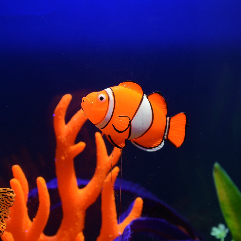 Светящаяся в темноте силиконов – обзор и цена Aquarium Fish Glow In The Dark