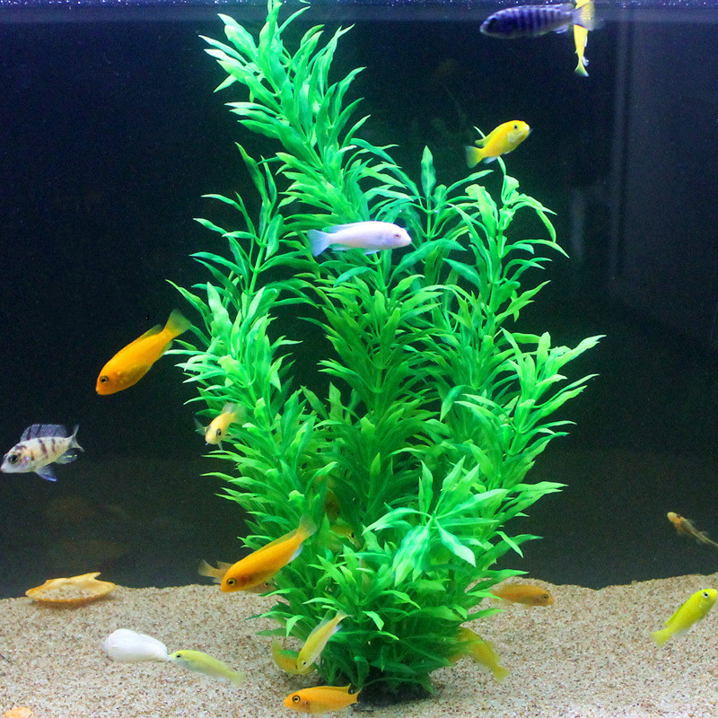 50 см искусственный аквариум р – обзор и цена Aquarium Fish Only