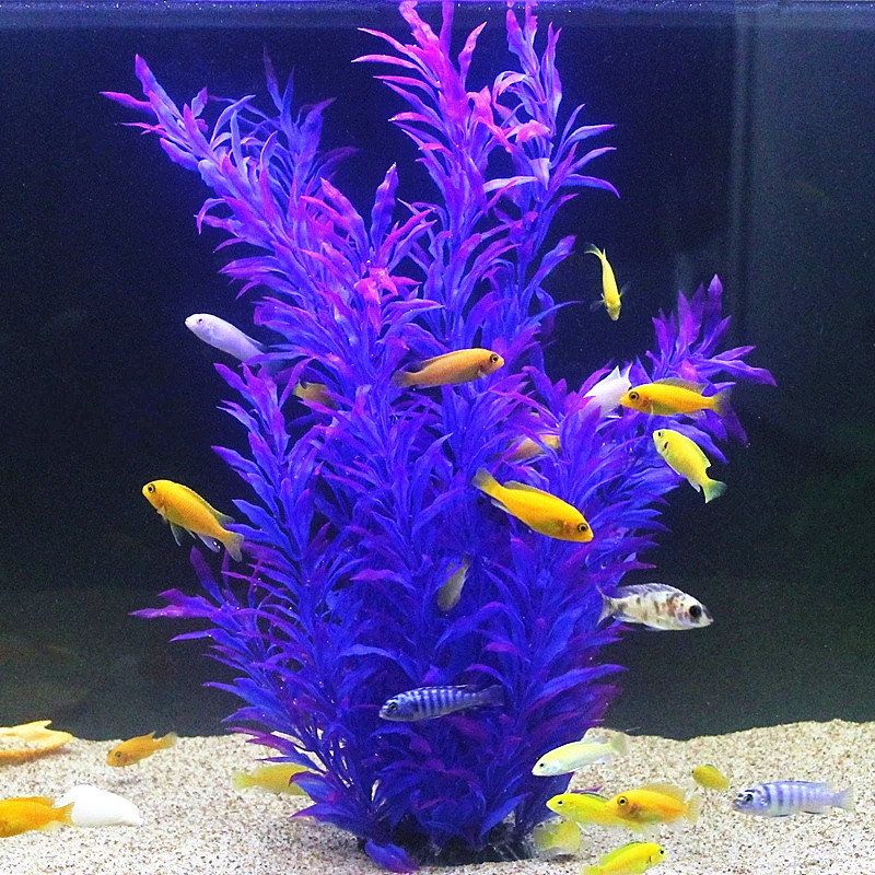 50 см искусственный аквариум р – обзор и цена Aquarium Fish Only