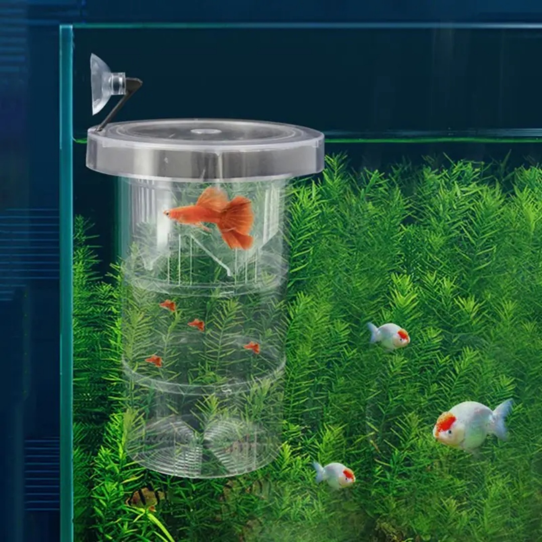 Акриловая плавающая изоляционн – обзор и цена Aquarium Fish Jar