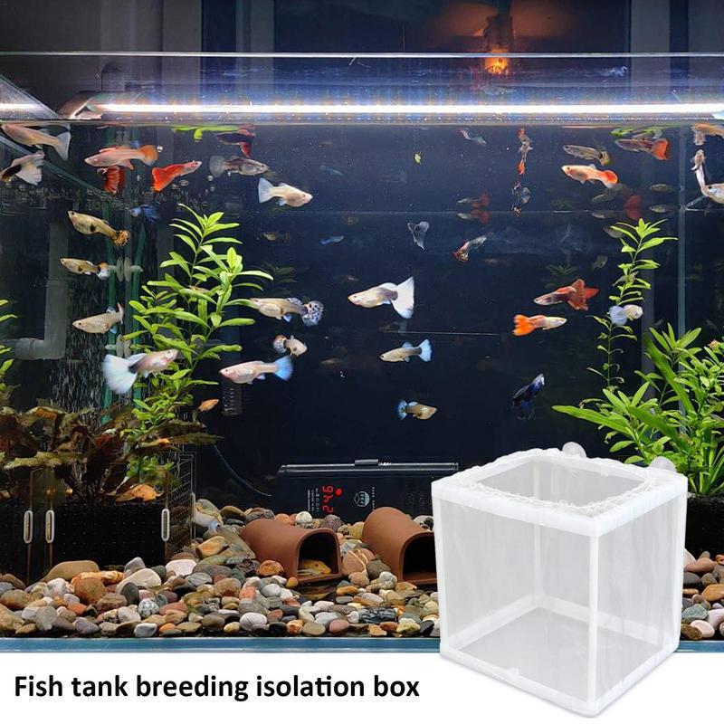 Ящик для разведения рыб с прис – обзор и цена Aquarium Fish Jar