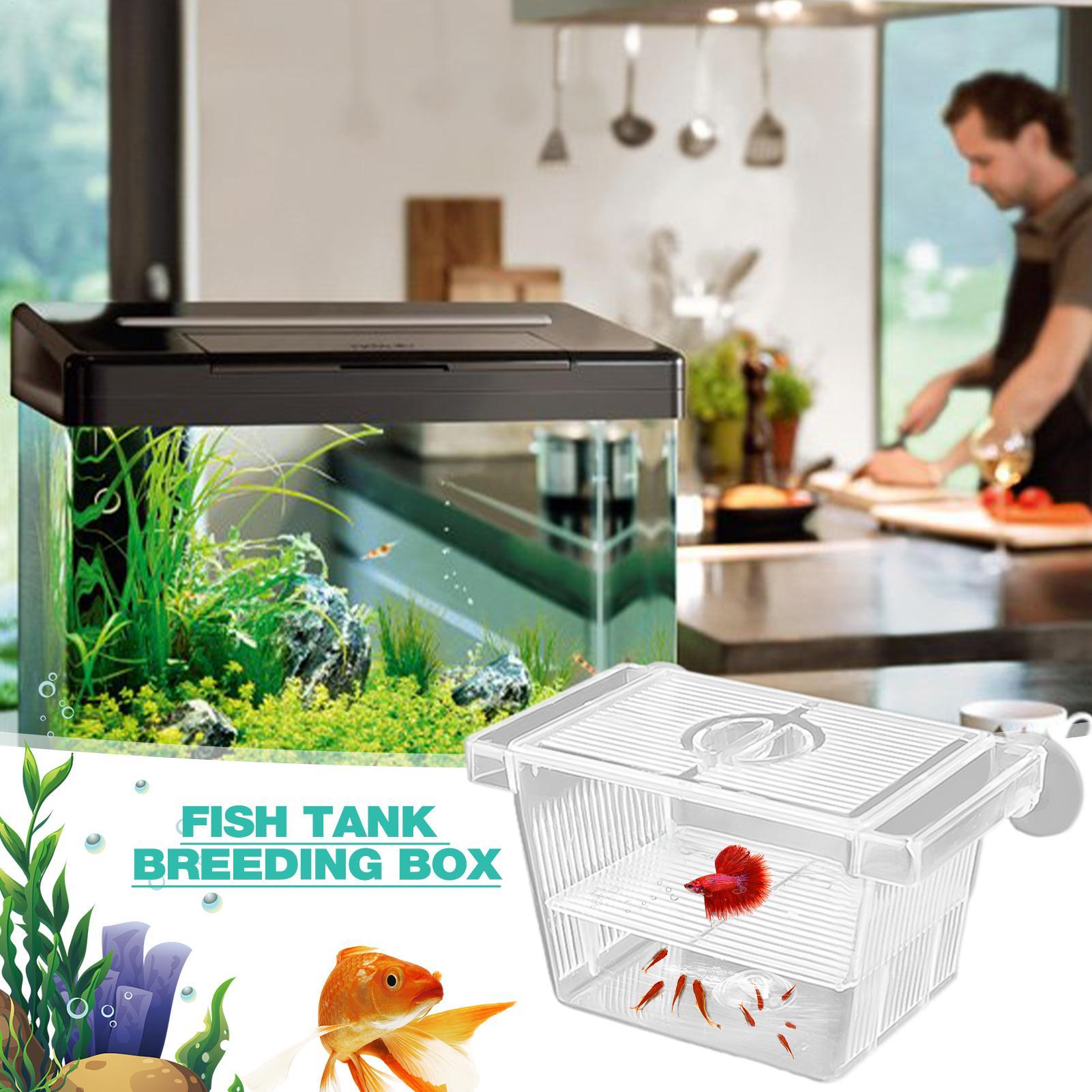 Акриловый изоляционный бокс дл – обзор и цена Aquarium Fish Jar