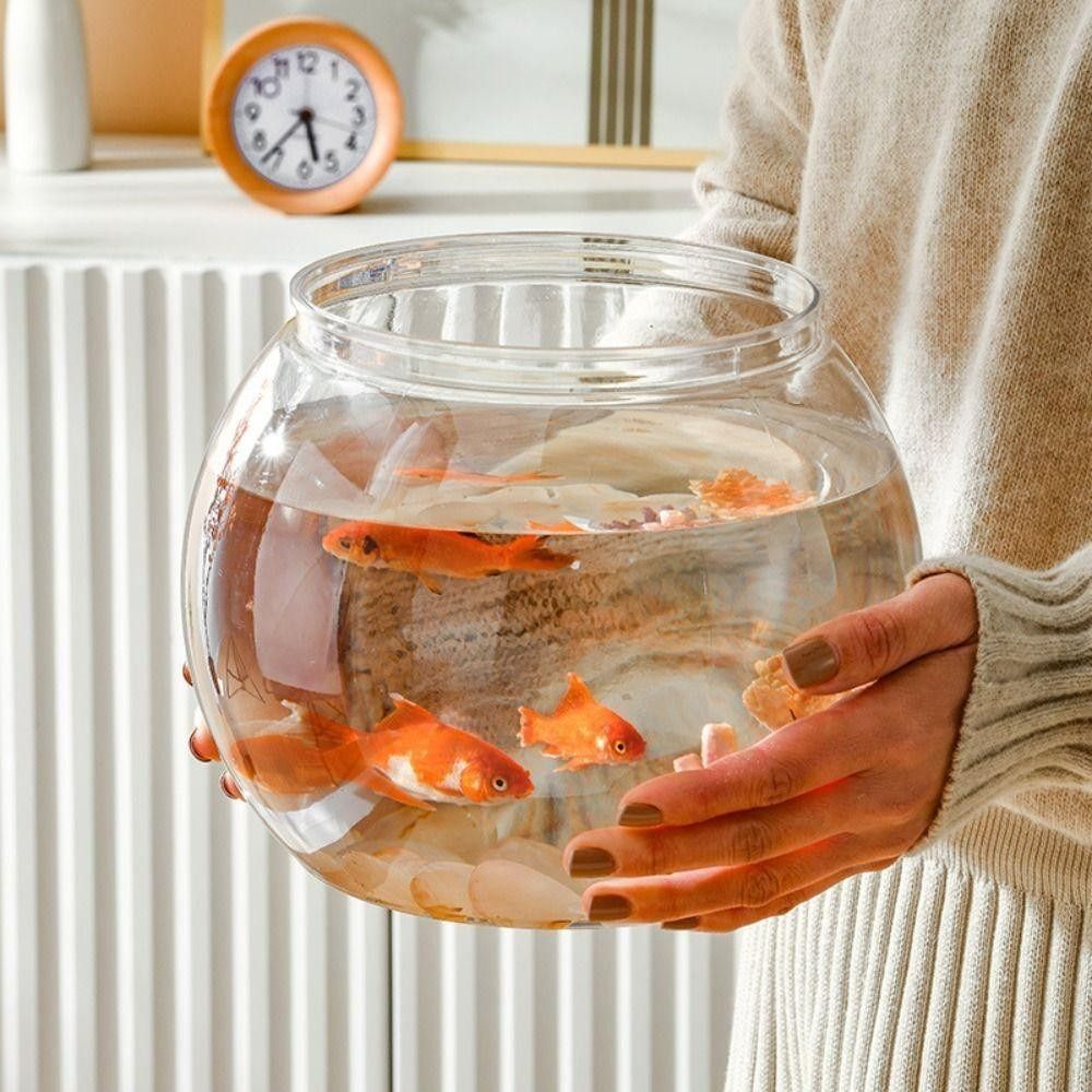 Новый прозрачный аквариум, кру – обзор и цена Aquarium Fish Jar