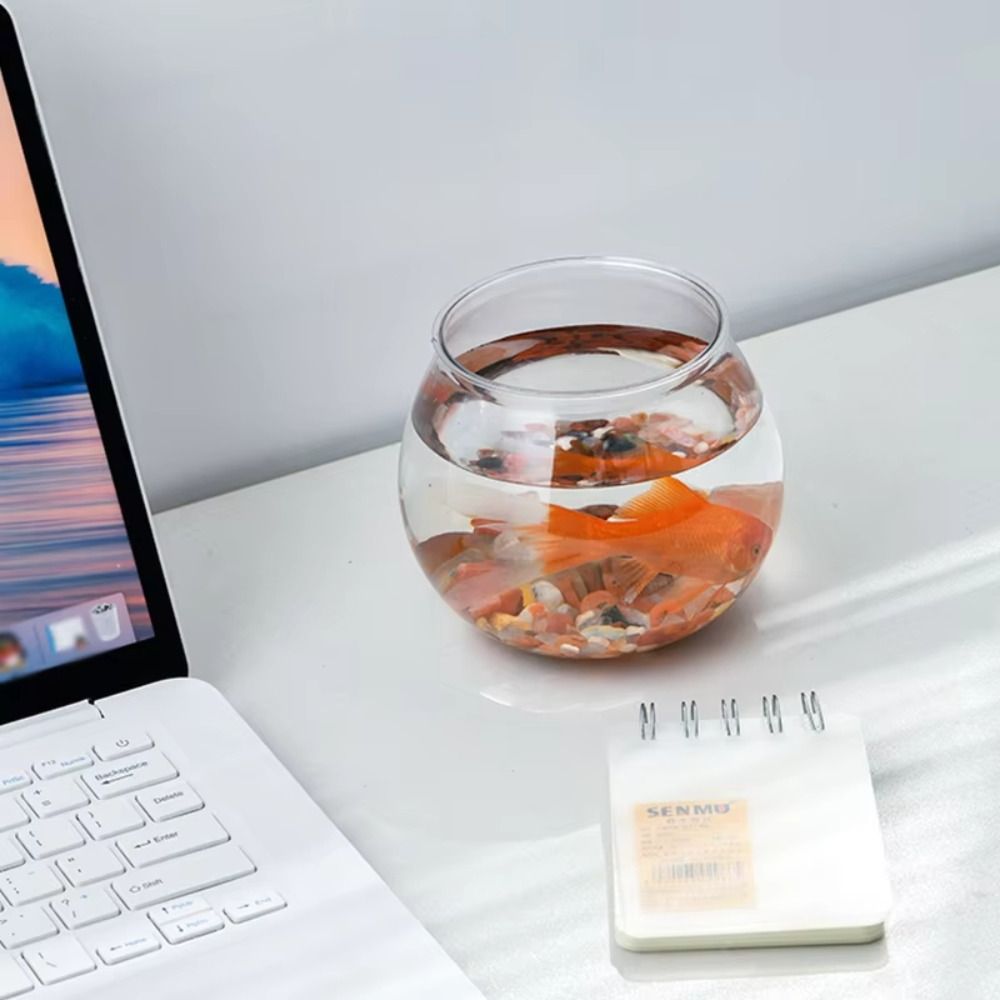 Новый прозрачный аквариум, кру – обзор и цена Aquarium Fish Jar
