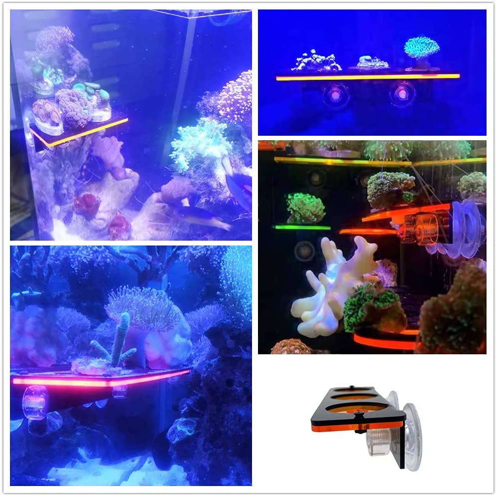 Флуоресцентный кронштейн для з – обзор и цена Aquarium Fish Tank Price