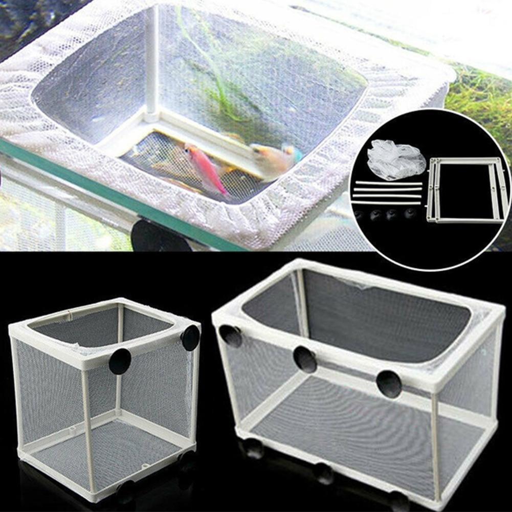 Изолирующий ящик для инкубатор – обзор и цена Aquarium Fish Jar