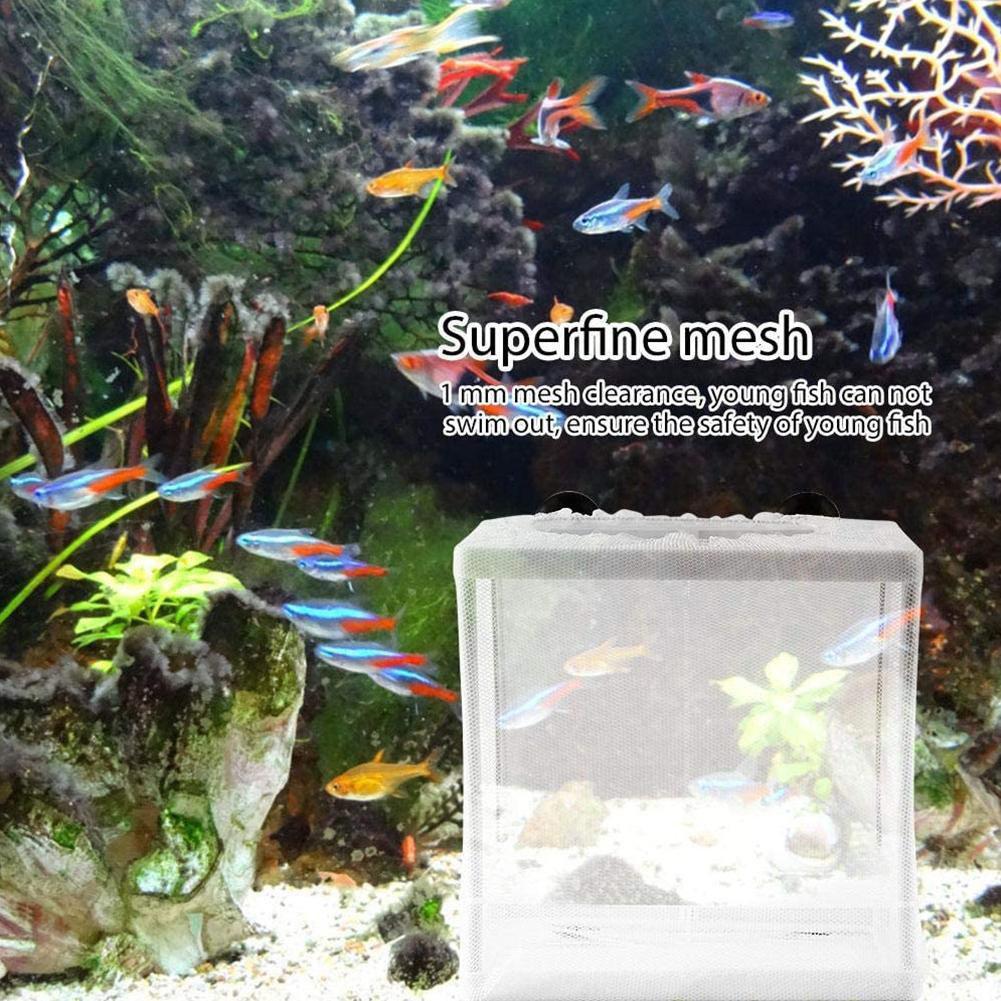Изолирующий ящик для инкубатор – обзор и цена Aquarium Fish Jar